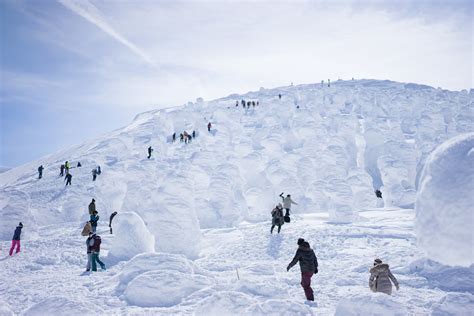 Zao Snow Monsters in Japan 2025 - Rove.me