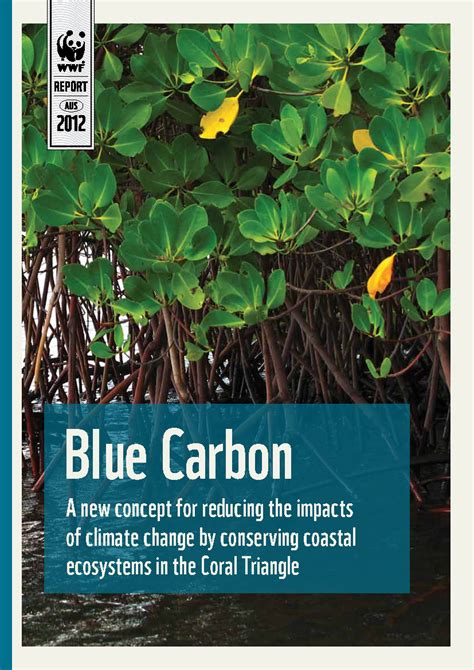 REPORT: Blue Carbon - A new concept for reducing the impacts of climate ...