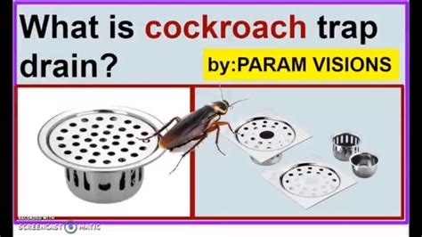 What is cockroach trap drain?/Anti cockroach drain trap/Drain trap in plumbing - YouTube