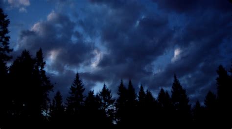 GROWING GILLS: Stormy Night Sky