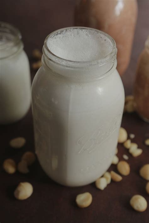 Macadamia Nut Milk | Nut milk, Milk ingredients, Macadamia nuts