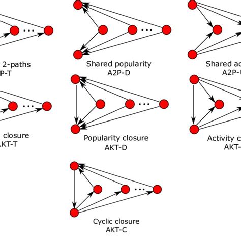 Alternating k-star structures for modeling degree distribution in... | Download Scientific Diagram