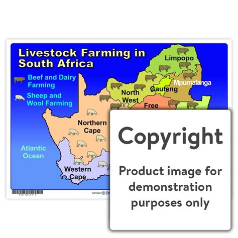 Livestock Farming in South Africa – Depicta