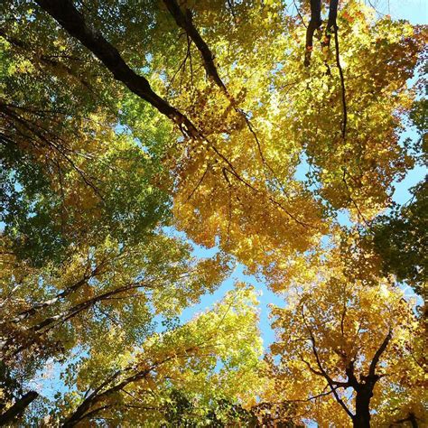 Pictured Rocks National Lakeshore Fall Colors