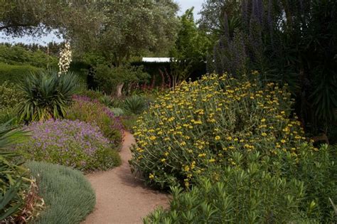 The Ornamental Gardens | Lambley Nursery Dvd Covers, Drought Tolerant Plants, Xeriscape, Rock ...