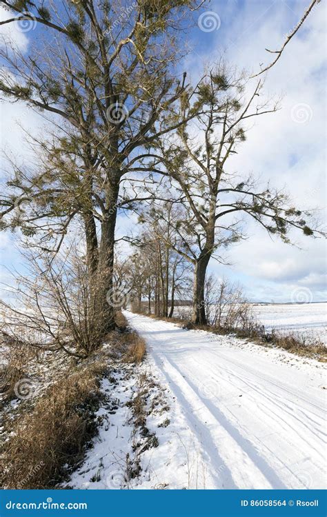 Snowy road, winter stock photo. Image of asphalt, scene - 86058564