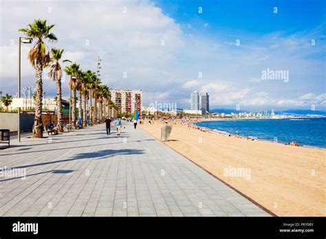 Playa de la Barceloneta city beach in the centre of Barcelona city ...