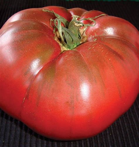 Black Krim Organic Tomato Seeds – West Coast Seeds