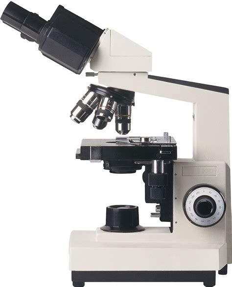 Microscope | Types, Parts, History, Diagram, & Facts | Britannica