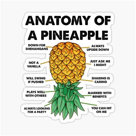 "Anatomy Of A Pineapple" Sticker for Sale by skolldz | Redbubble