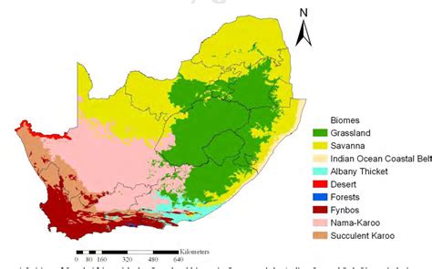 Figure 1 from South African grassland ecology and its restoration | Semantic Scholar