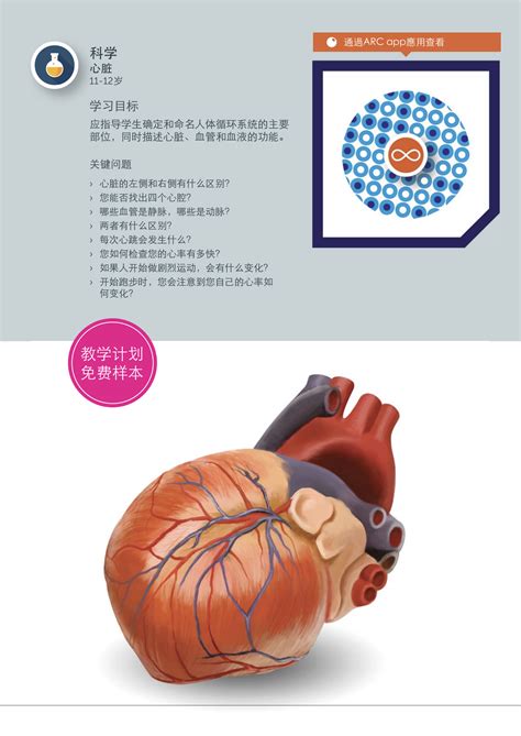 Heart (Simplified Chinese) - Content - ClassConnect