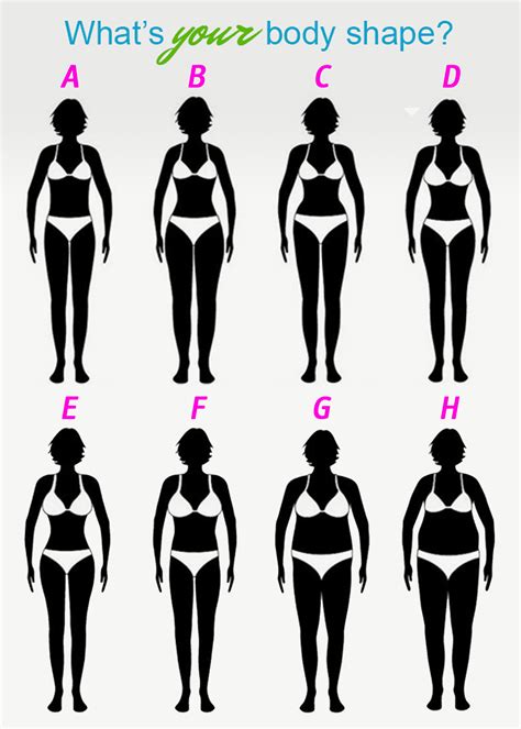 Female body types | Ebylife | Personal training