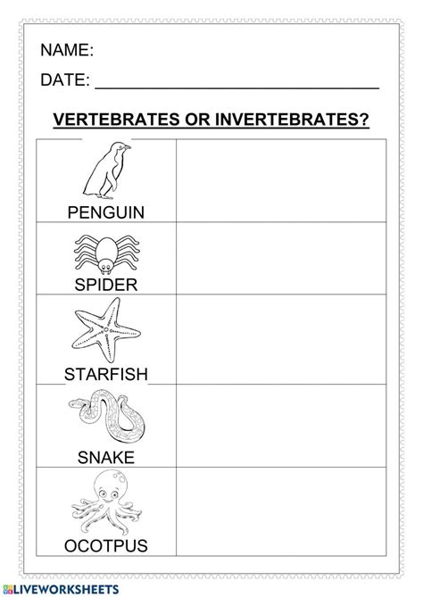 Vertebrates-invertebrates worksheet | Vertebrates and invertebrates, Google classroom math ...