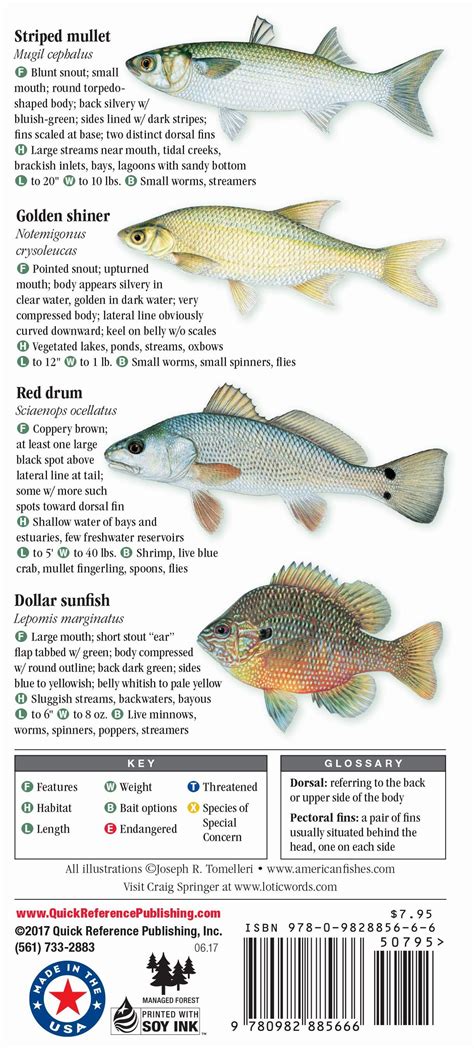 Freshwater Fishes of Florida – Quick Reference Publishing Wholesale