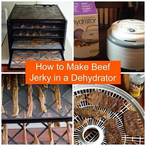 How to Make Beef Jerky with a Dehydrator | Jerkyholic