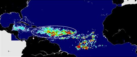 What is the giant seaweed blob that is heading towards Florida?