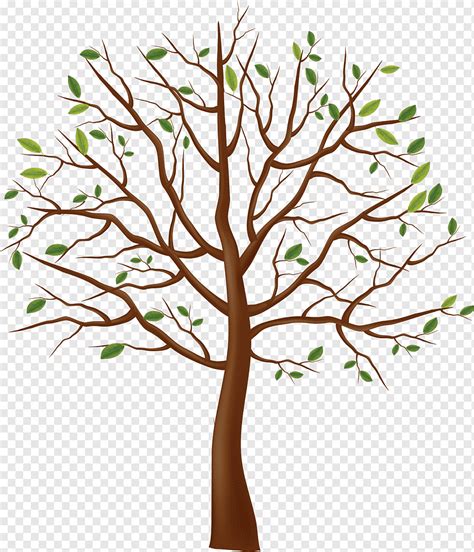 Tree Drawing, Tree, image File Formats, leaf, branch png | PNGWing