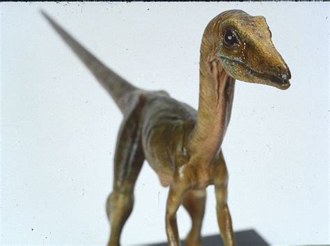 The Lost World Jurassic Park Compsognathus maquette