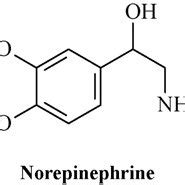 Structural formulas of dopamine, norepinephrine and epinephrine. The... | Download Scientific ...