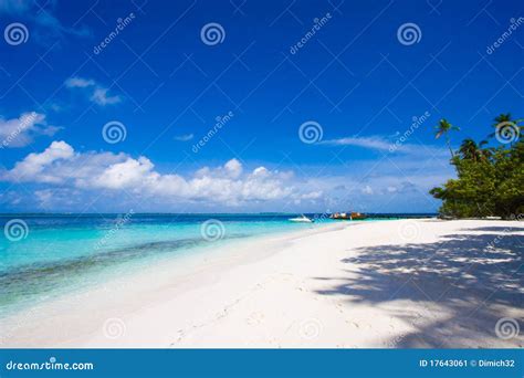 Maldives beach scene stock image. Image of holiday, horizon - 17643061