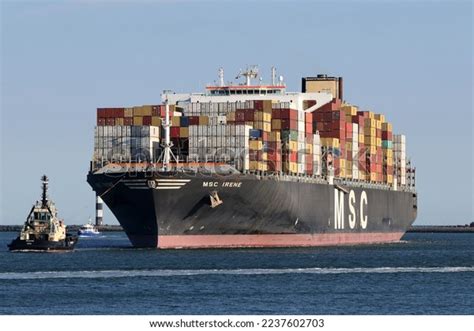 Container Ship Msc Irene Arrives Port Stock Photo 2237602703 | Shutterstock