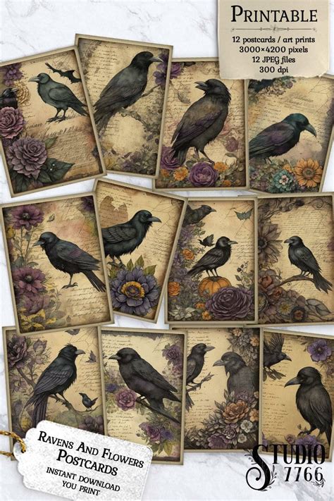 Ravens and Flowers Postcards