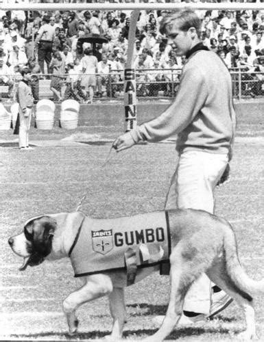 Gumbo rah-rah: How a St. Bernard dog became the New Orleans Saints ...