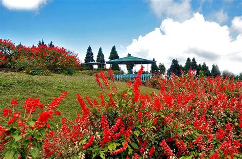 Kalimpong West Bengal - Luxury Trails of India