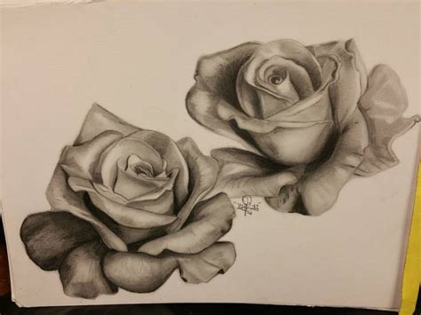 26+ Pencil Sketch Drawing Rose Background