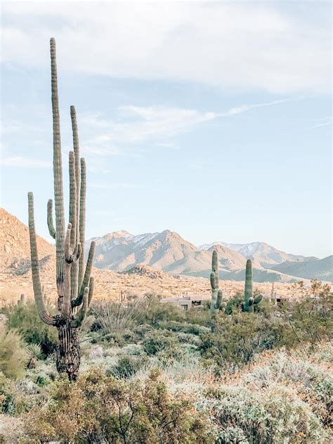 The Best Scottsdale Hiking Trails to Reconnect With Nature | 2023