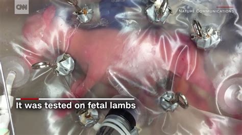 Scientists create artificial womb - YouTube