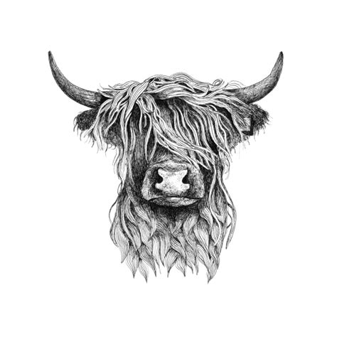 Highland Cow illustration tattoo style - Highland Cow - Baseball T ...