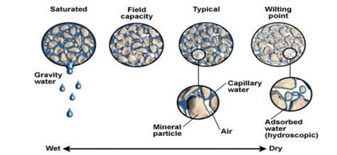 Generalized soil moisture conditions (modified by COMET program 2005)... | Download Scientific ...