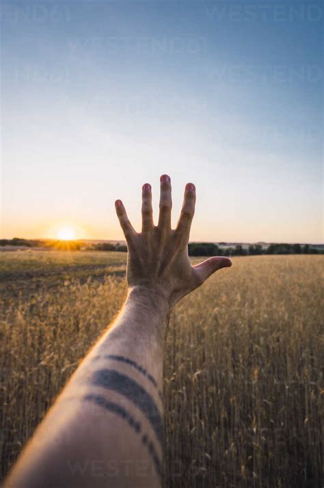 Man's hand reaching for evening sun stock photo