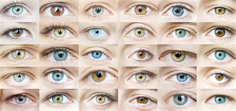 Eye Color Trivia | Vision Source of Hendersonville