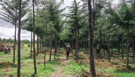 Kenya: What’s creating conflict over water and land usage in Mount ...