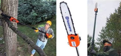 The Best Electric Pole Saws for Smaller Backyards and Gardens - Dengarden