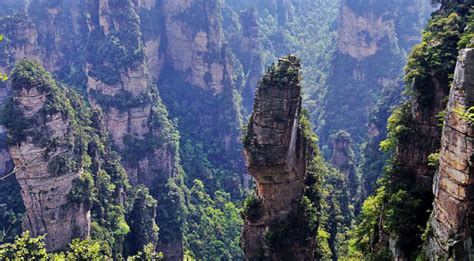 Zhangjiajie National Forest Park: A trip to Avatar Mountains