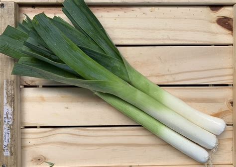 Leek – Brian's Best Organics