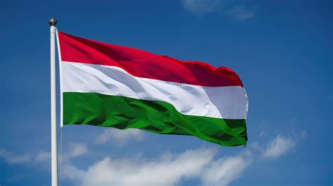 Hungary to ratify NATO membership of Sweden, Finland on October 24 - EU Lawmaker