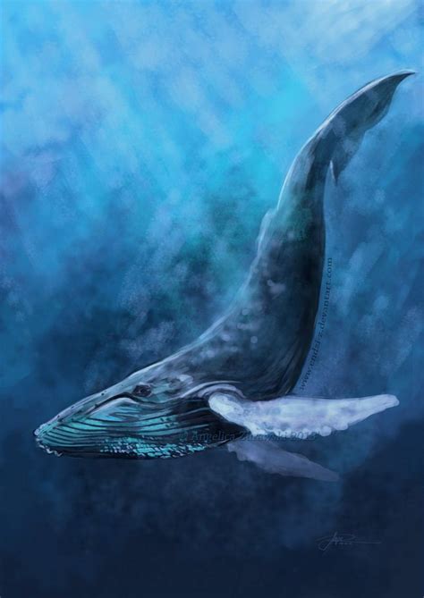 Blue Whales Drawing at GetDrawings | Free download