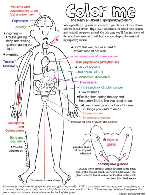 Symptoms of Hyperparathyroidism Cartoon. Symptoms of parathyroid ...