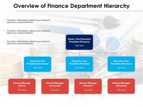 Overview Of Finance Department Hierarchy | Presentation Graphics | Presentation PowerPoint ...