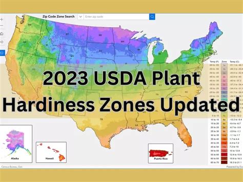 Usda Plant Hardiness Zones Map 2023 Nc - Shirl Shandee