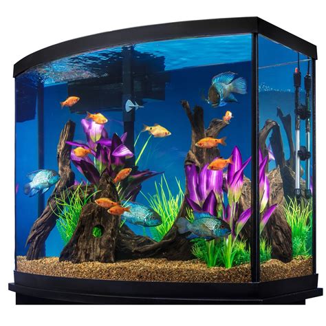 50 Gallon Fish Tank Petsmart - Ape Aquarium Fish