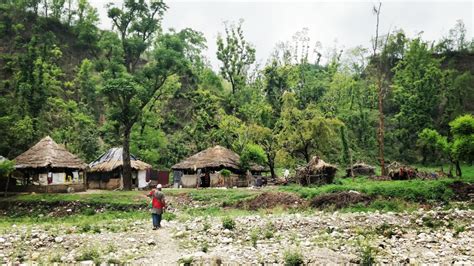 ‘Guests in our own homes’: The forest tribe of India’s Himalayas ...