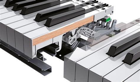 The Best Digital Piano Brands: The Definitive Guide (2024)