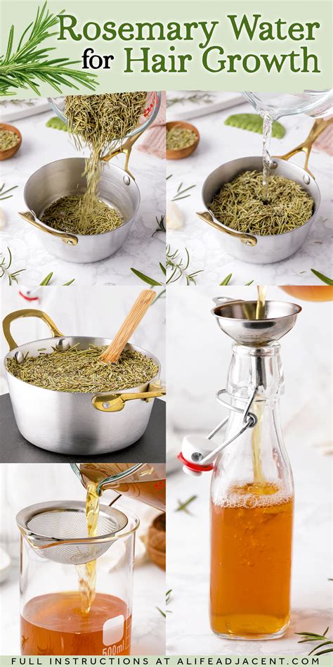 How to make rosemary water for hair growth infographic step-by-step. Pouring rosemary leaves ...