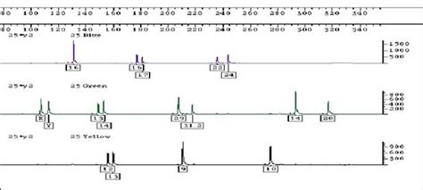 STR electropherogram of a DNA sample from the same bone as in Fig. 1.... | Download Scientific ...